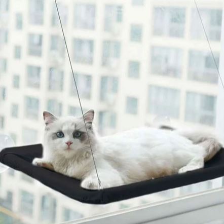 Hamac Chat - PetCatHangingBed™ - Noir - Amour du chat