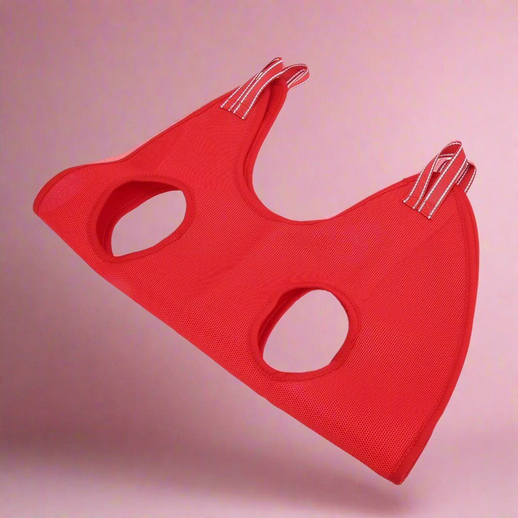 Toilettage Chat - GroomHamac™ - Rouge - ENTREPÔT DU CHAT