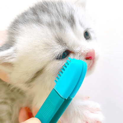 Brosse pour Chat - CatEyeWipe™ - Bleu - ENTREPÔT DU CHAT